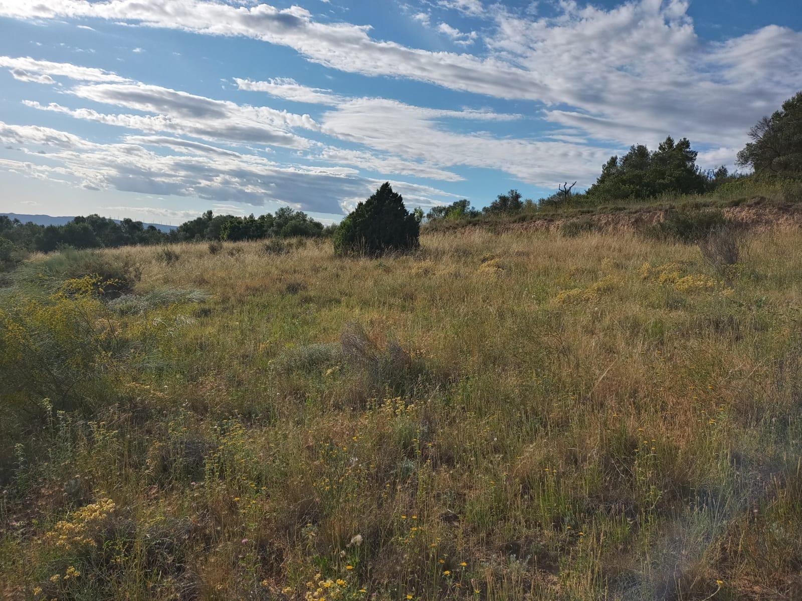 Terreno rural